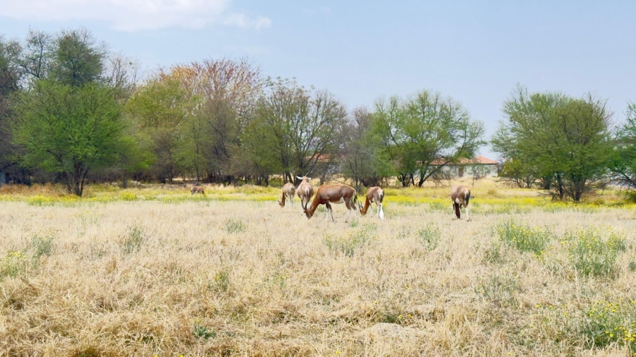 3 Bedroom Property for Sale in Ngwenya River Estate North West